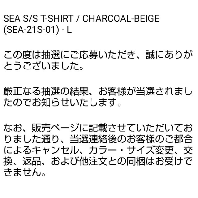 SEA(シー)のウィンダンシー Tシャツ チャコール CHARCOAL-BEIGE メンズのトップス(Tシャツ/カットソー(半袖/袖なし))の商品写真