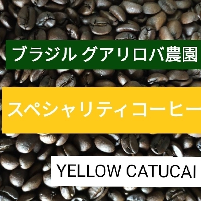 自家焙煎コーヒー豆（100ｇ）中深煎り 食品/飲料/酒の食品/飲料/酒 その他(その他)の商品写真