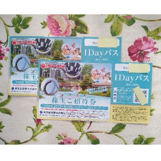サマーランド フリーパス２枚(株主優待)(遊園地/テーマパーク)