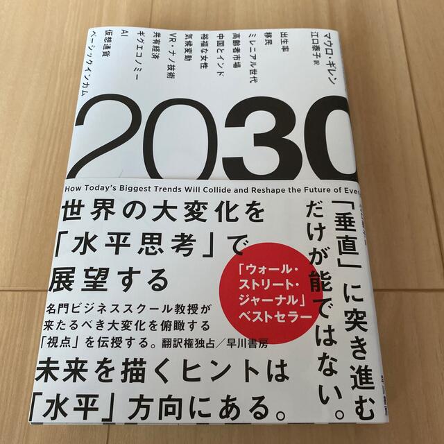 ２０３０ 世界の大変化を「水平思考」で展望する エンタメ/ホビーの本(ビジネス/経済)の商品写真