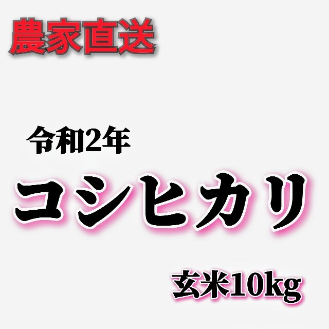 令和2年福井県産コシヒカリ玄米10kg　米/穀物