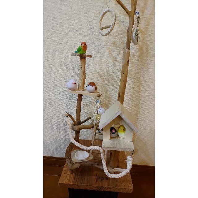 バードアスレチック バードジム ハンドメイド - 鳥用品 バードアスレチック バードジム ハンドメイド - 鳥用品