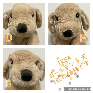 イケア(IKEA)の〓IKEA ゴールデン 子犬〓平日発送(ぬいぐるみ)