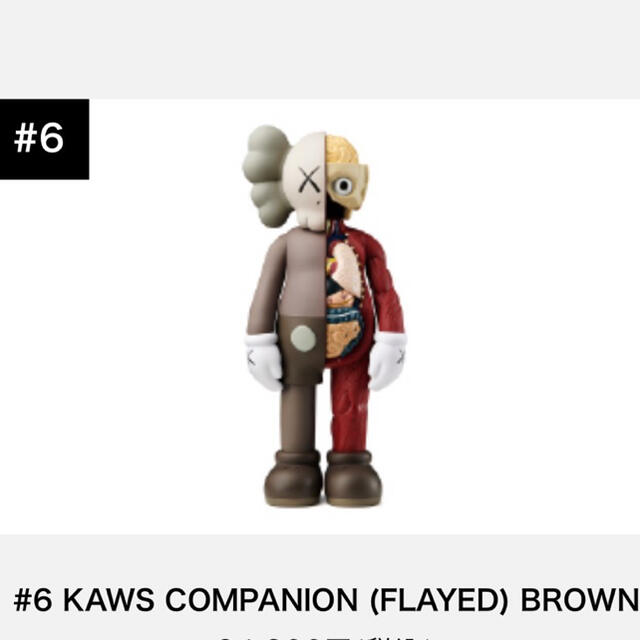 激安先着 MEDICOM BROWN (FLAYED) COMPANION KAWS #6 - TOY その他