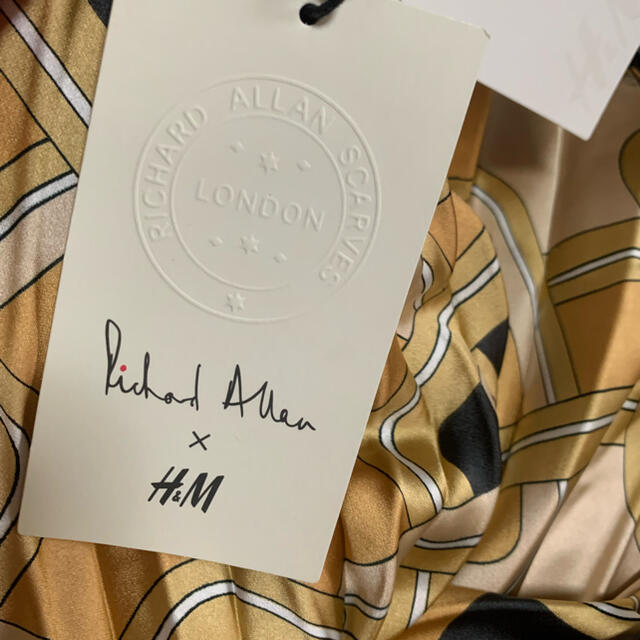 H&H(エイチアンドエイチ)のrichard allan scarves × H&M プリーツスカート レディースのスカート(ロングスカート)の商品写真