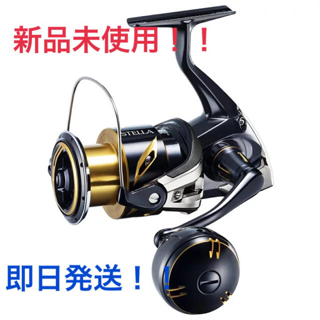 素敵でユニークな 未使用 20ステラSW 20000PG スペアスプール
