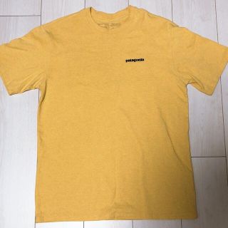 パタゴニア(patagonia)のパタゴニア P-6レスポンシビリティー(Tシャツ/カットソー(半袖/袖なし))