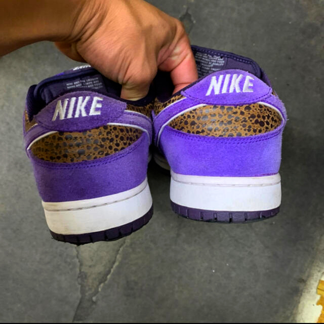 NIKE(ナイキ)のNIKE SB DUNK PURPLE SAFARI メンズの靴/シューズ(スニーカー)の商品写真