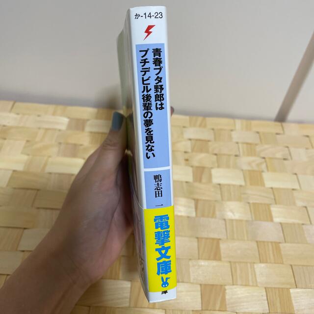 角川書店(カドカワショテン)の青春ブタ野郎はプチデビル後輩の夢を見ない エンタメ/ホビーの本(その他)の商品写真