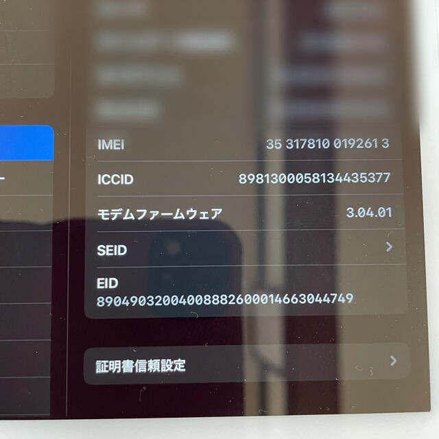 iPad mini 5世代 Wi-Fi+セルラー 256GB SIMフリー