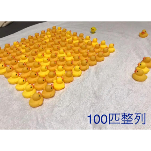 アヒル　100個 アヒル隊長 100羽 ひよこ 100匹　ヒヨコ　景品　ひよこ キッズ/ベビー/マタニティのおもちゃ(お風呂のおもちゃ)の商品写真