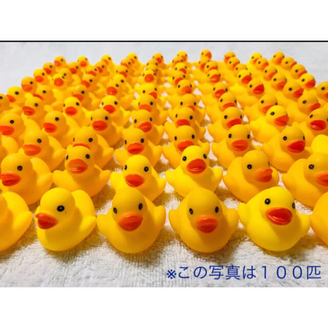 アヒル 100個 アヒル隊長 100羽 ひよこ 100匹 ヒヨコ 景品 ひよこの通販 by miki アヒル隊長 アヒル ひよこ