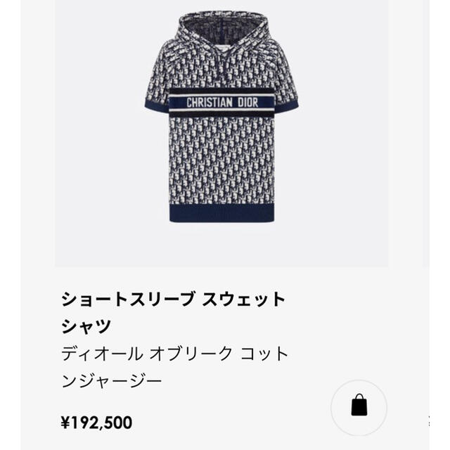 ぷよ様専用☆Dior☆フード付 ロゴ プルオーバー☆2021