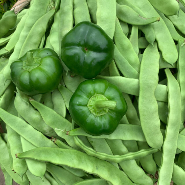 畑直送　無農薬栽培新鮮野菜 食品/飲料/酒の食品(野菜)の商品写真