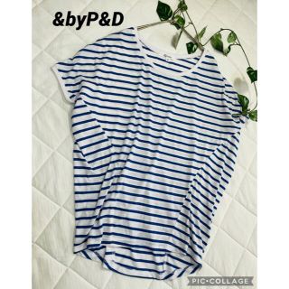 アンドバイピーアンドディー(&byP&D)のピンキーアンドダイアン　Tシャツ　ボーダーカットソー(Tシャツ(半袖/袖なし))