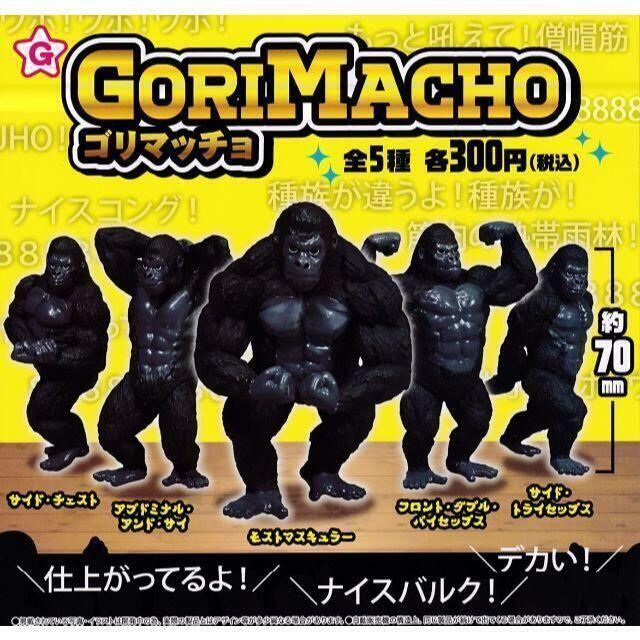 【2点セット】【追跡】GORIMACHO ゴリマッチョ 全5種セット