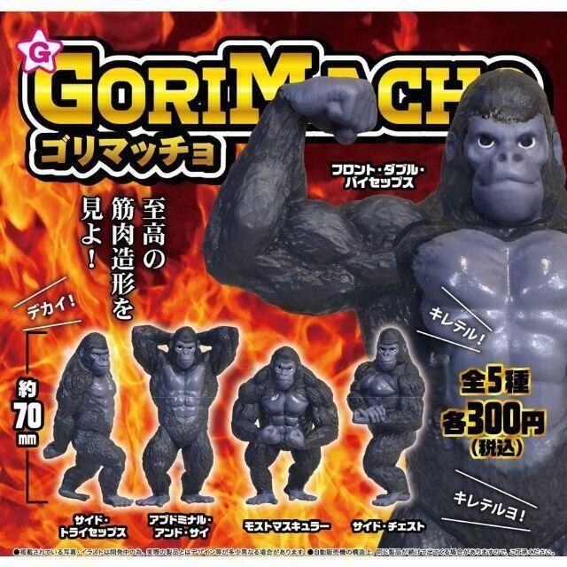 【2点セット】【追跡】GORIMACHO ゴリマッチョ 全5種セット 1