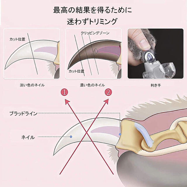 ペット用爪切り　猫用爪切り 犬用爪切り ネイルケア led ライト つめきり その他のペット用品(その他)の商品写真