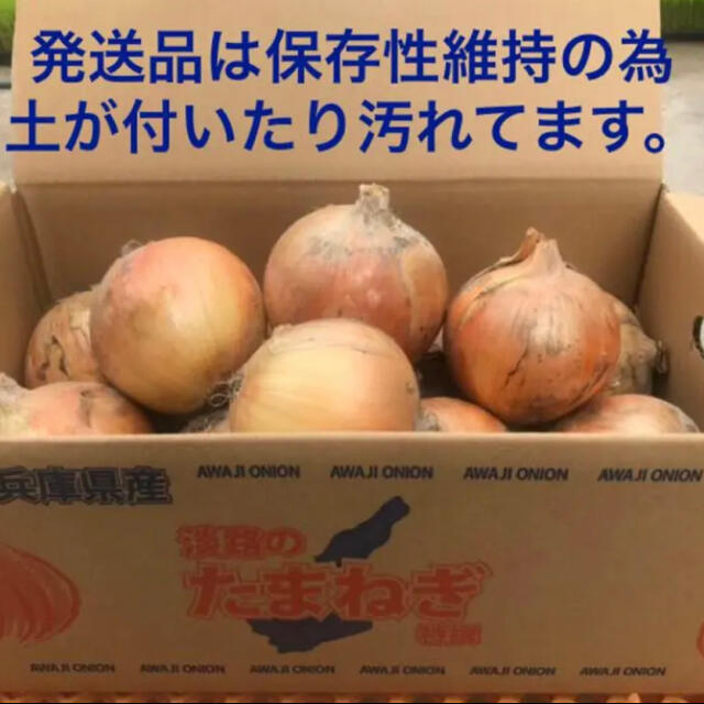 淡路島 完熟 玉ねぎ 5kg たまねぎ 玉葱 タマネギ 食品/飲料/酒の食品(野菜)の商品写真
