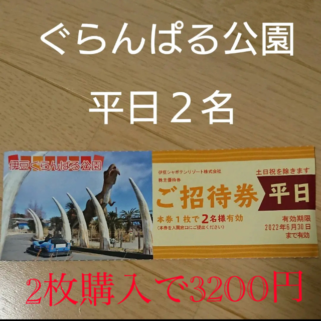 ☆みなみ様専用☆ 伊豆ぐらんぱる公園　　ご招待券2枚分　☆平日4名様分☆ チケットの施設利用券(遊園地/テーマパーク)の商品写真