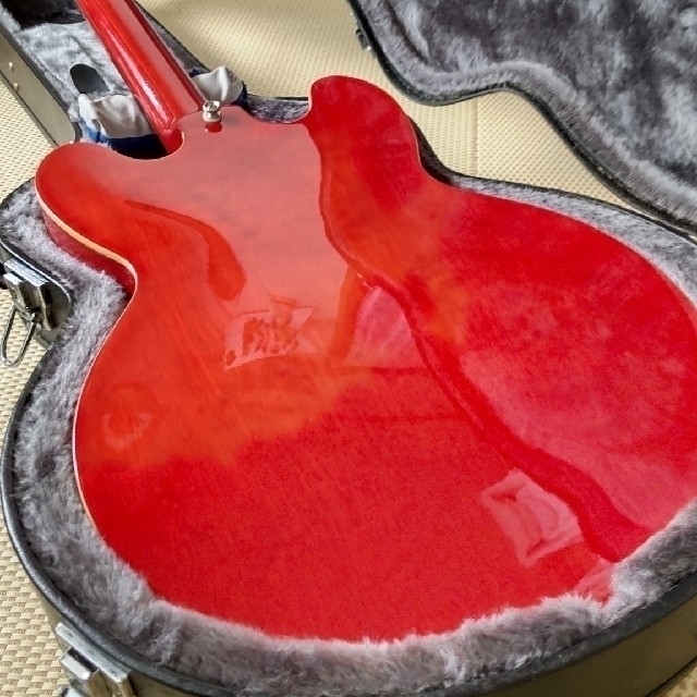 Epiphone(エピフォン)の亀治郎様ご専用  エピフォン ドット ハードケース付き 楽器のギター(エレキギター)の商品写真