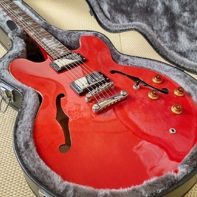 Epiphone(エピフォン)の亀治郎様ご専用  エピフォン ドット ハードケース付き 楽器のギター(エレキギター)の商品写真