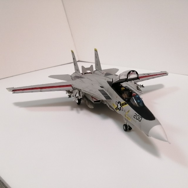 ハセガワ　1/72F-14 ロービジ【完成品】