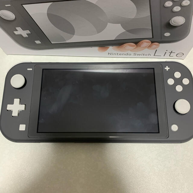 任天堂 Switch Lite グレー、ポケモンシールド