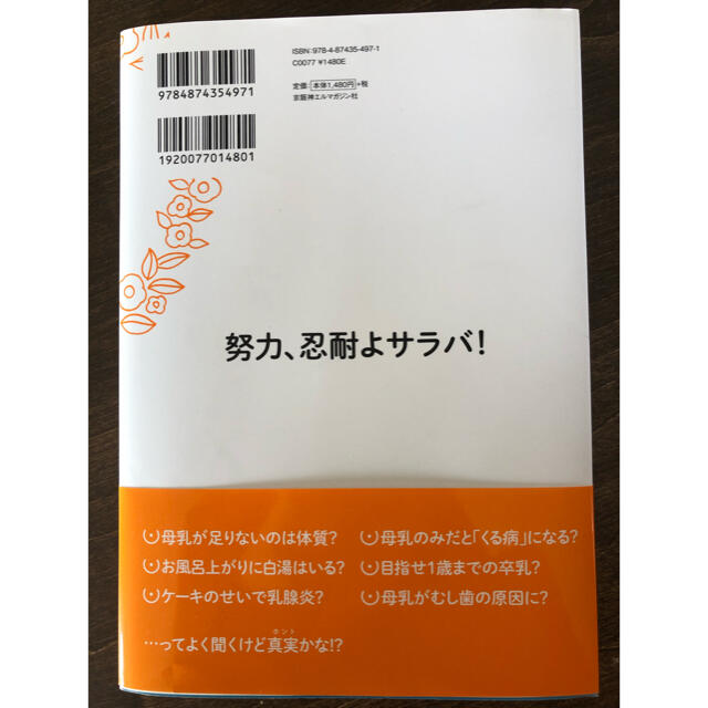 ちょっと理系な育児　母乳育児篇 エンタメ/ホビーの雑誌(結婚/出産/子育て)の商品写真