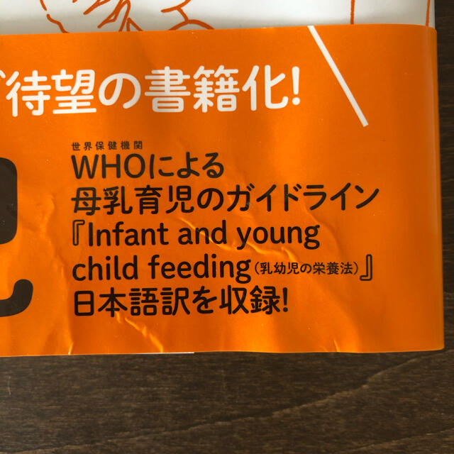 ちょっと理系な育児　母乳育児篇 エンタメ/ホビーの雑誌(結婚/出産/子育て)の商品写真