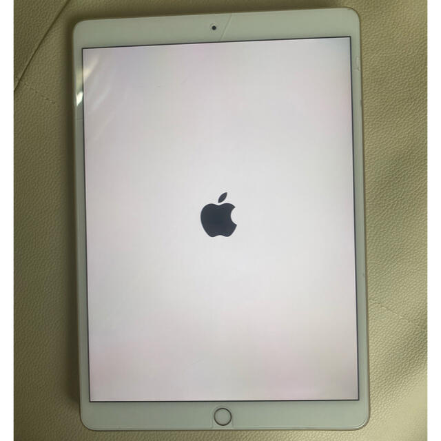 iPad Pro 10.5 256G WiFi+cellular モデル