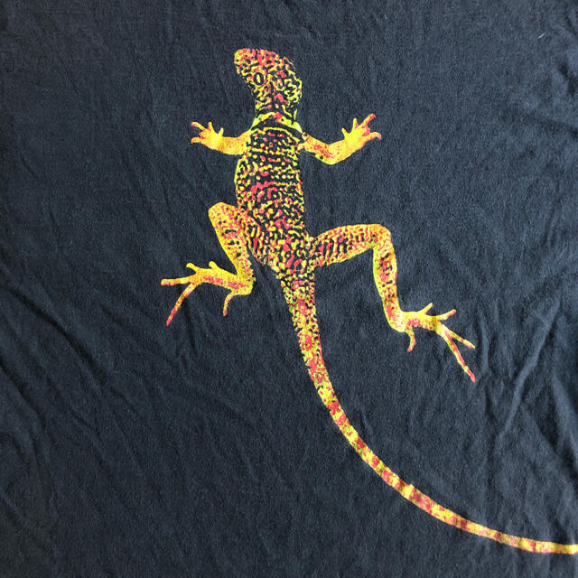 Marlboro Lizard Tee XL マルボロ トカゲ Tシャツ