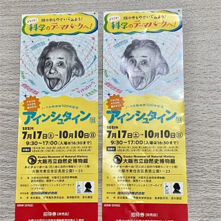 アインシュタイン展 チケット 2枚セット 招待券(美術館/博物館)