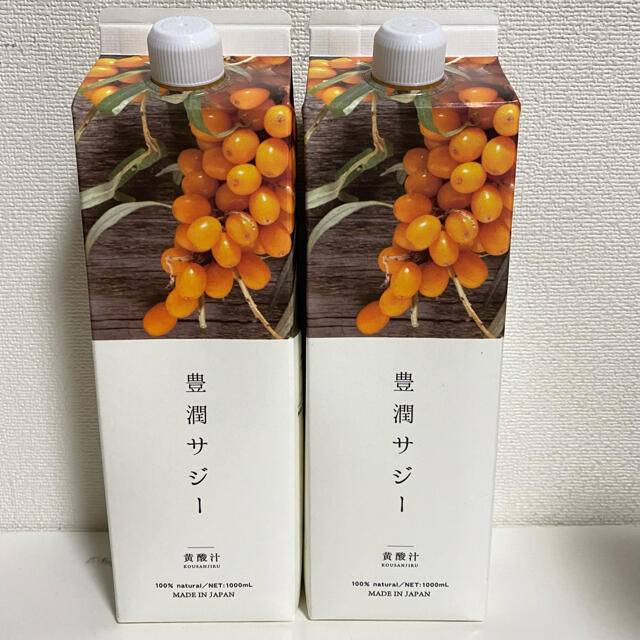 豊潤サジー     1000ml×２本セット