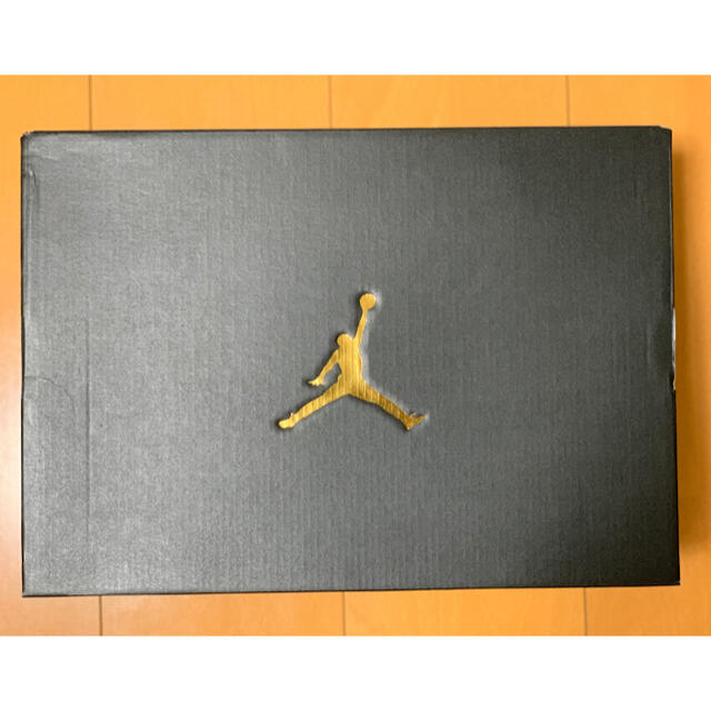 Nike Air Jordan mid se asw 29cm