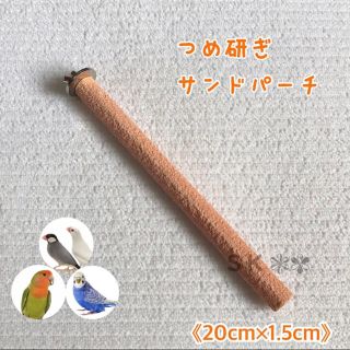 鳥 サンドパーチ 止まり木 20cm×1.5cm (オレンジブラウン)(鳥)