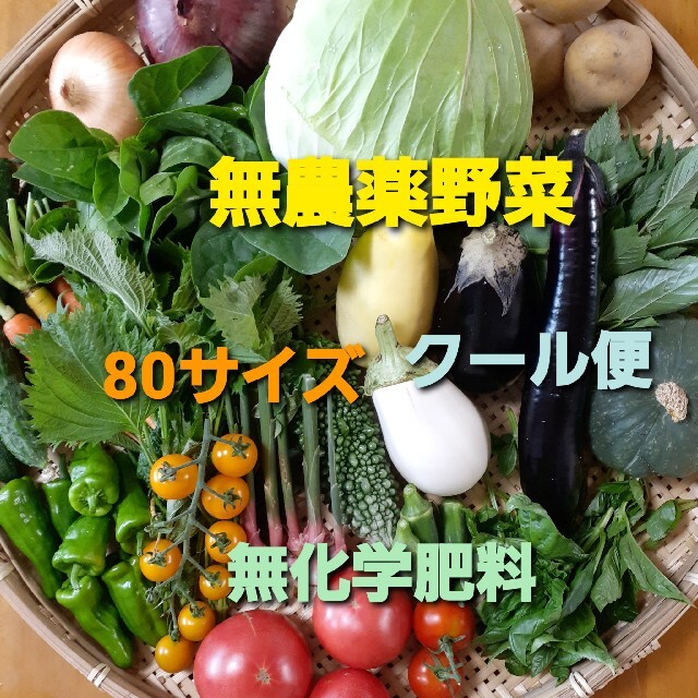 無農薬野菜セット　8月6日以降の収穫　80サイズ　クール便 食品/飲料/酒の食品(野菜)の商品写真