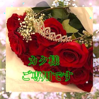 クレージュ ダイヤモンドネックレス ネックレスの通販 10点