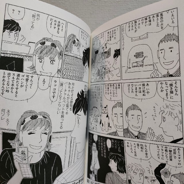 猫も寝てはならぬ サライネス ネコ 漫画の通販 By Benwallace S Shop ラクマ 猫も寝てはならぬ サライネス ネコ 漫画の通販 By Benwallace S Shop ラクマ