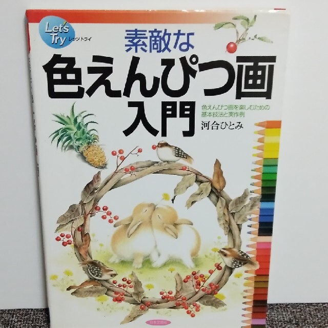 cosmo様　素敵な色えんぴつ画入門 色えんぴつ画を楽しむための基本技法と実作例 エンタメ/ホビーの本(その他)の商品写真