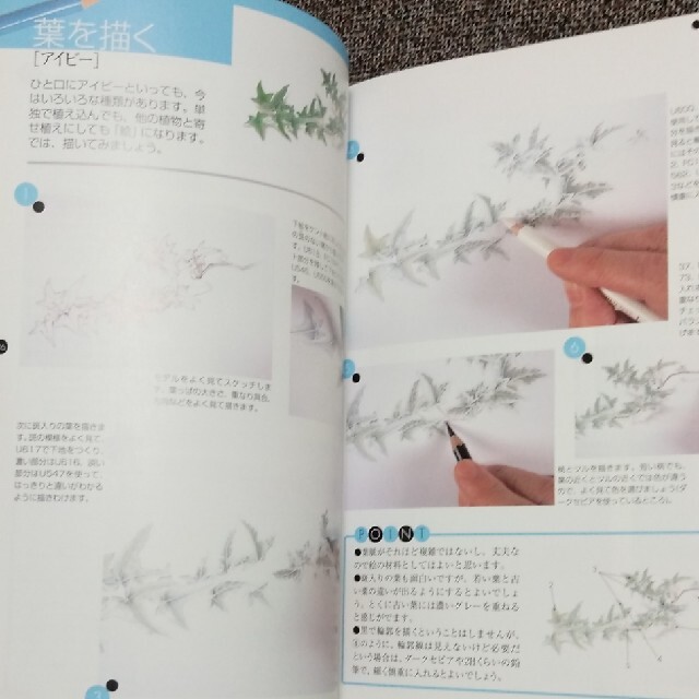 cosmo様　素敵な色えんぴつ画入門 色えんぴつ画を楽しむための基本技法と実作例 エンタメ/ホビーの本(その他)の商品写真