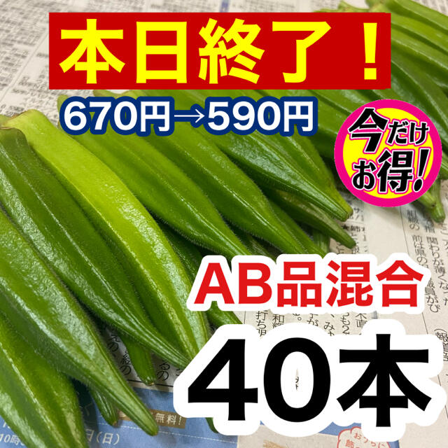 高知県産 オクラ おくら 40本 即購入OK 産地直送 鮮度抜群 夏野菜 食品/飲料/酒の食品(野菜)の商品写真