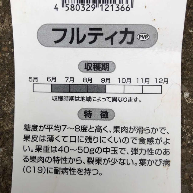 野菜 無農薬フルーツミニトマト 箱にいっぱいまで詰めます 食品/飲料/酒の食品(野菜)の商品写真