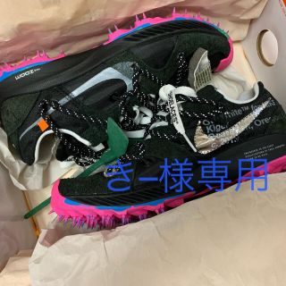 オフホワイト(OFF-WHITE)のOff-White x NIKE Zoom Terra Kiger 5 ナイキ(スニーカー)