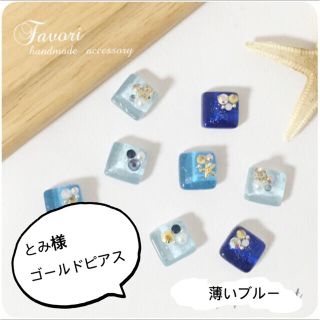 とみ様専用ページ(ピアス)