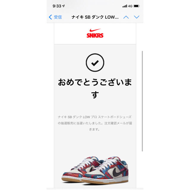 NIKE(ナイキ)のNIKE SB DUNK LOW PRO PIET PARRA パラ 29cm メンズの靴/シューズ(スニーカー)の商品写真