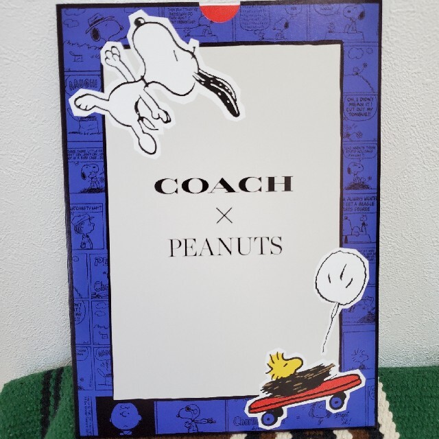 COACH(コーチ)のCOACH　スヌーピー　ステッカー エンタメ/ホビーのおもちゃ/ぬいぐるみ(キャラクターグッズ)の商品写真