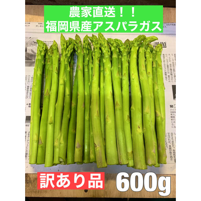 【福岡の近隣限定】福岡県産アスパラガス1kg（訳あり品） 食品/飲料/酒の食品(野菜)の商品写真