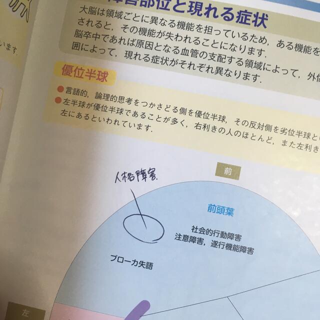 脳神経　2冊セット エンタメ/ホビーの本(健康/医学)の商品写真