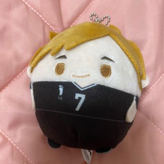 ハイキュー ぬいぐるみ  値下げ！！(キャラクターグッズ)